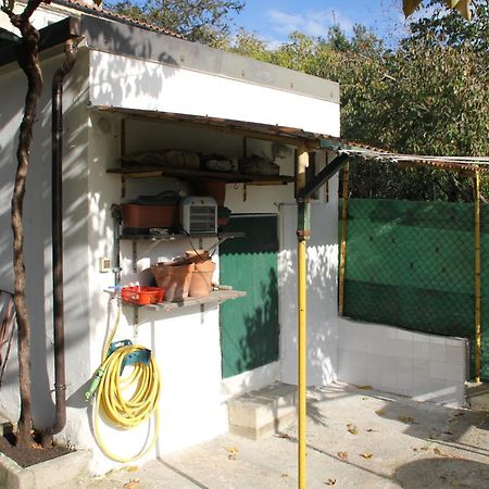 Il Gelsomino Villa Triëst Buitenkant foto