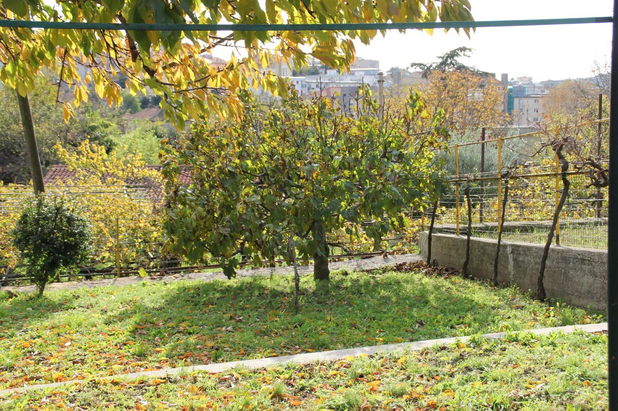 Il Gelsomino Villa Triëst Buitenkant foto