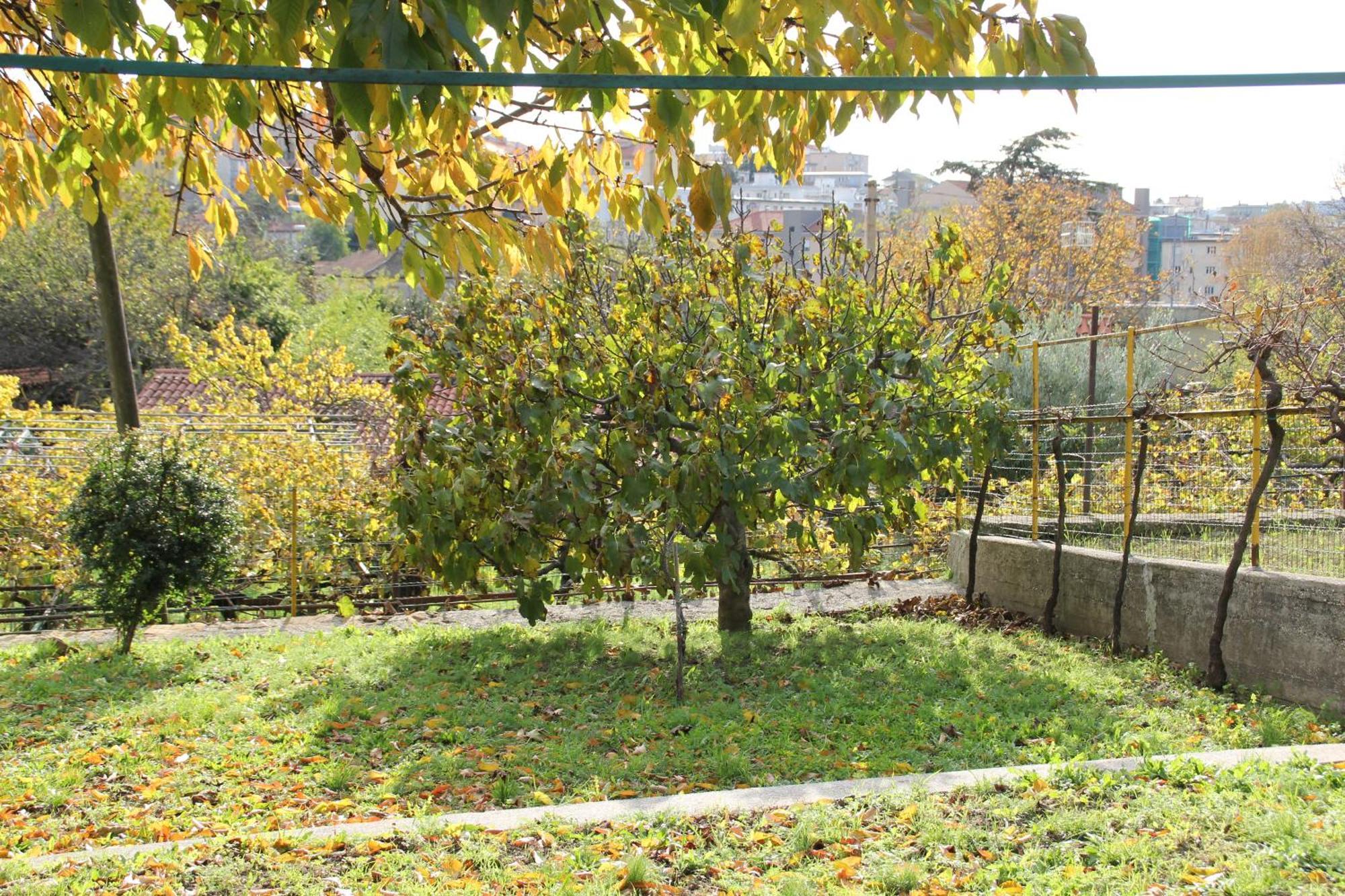 Il Gelsomino Villa Triëst Buitenkant foto
