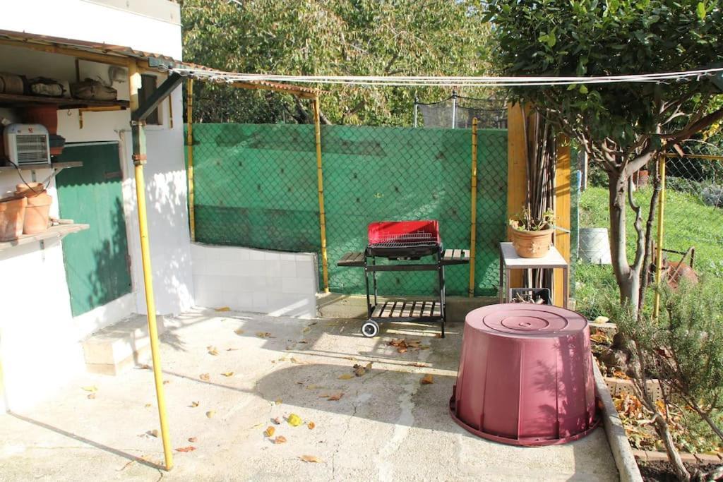 Il Gelsomino Villa Triëst Buitenkant foto