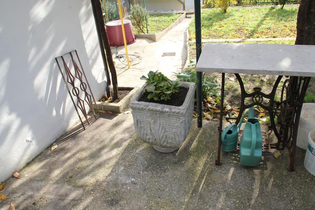 Il Gelsomino Villa Triëst Buitenkant foto