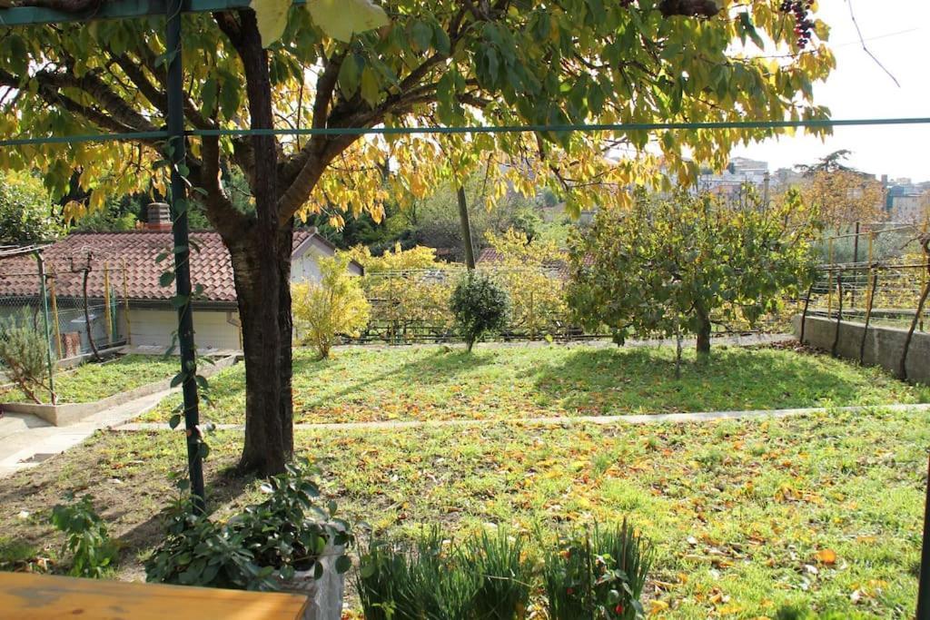 Il Gelsomino Villa Triëst Buitenkant foto